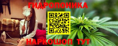 индика Кунгур