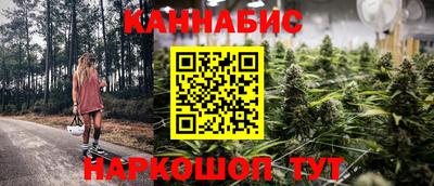 индика Кунгур
