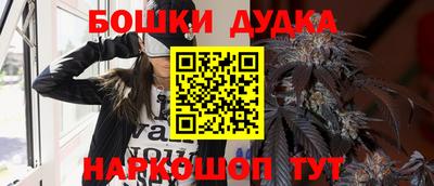 индика Кунгур