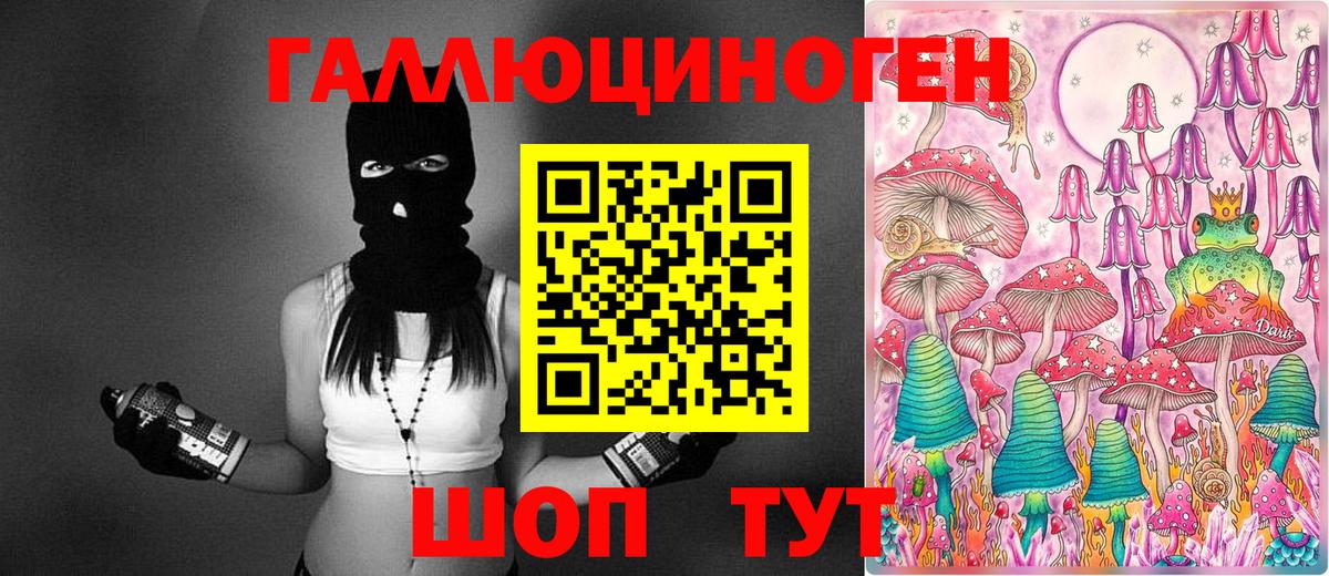 Галлюциногенные грибы Psilocybe Знаменск