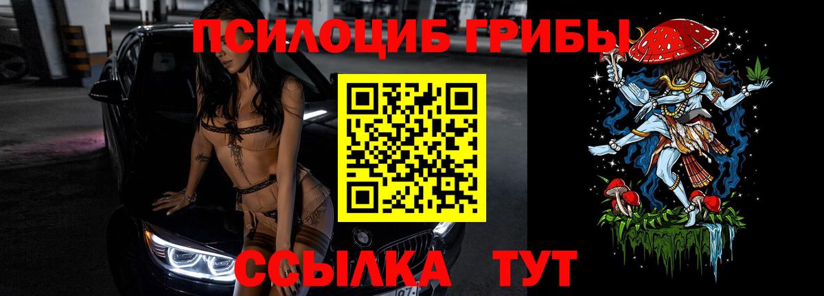 Галлюциногенные грибы Psilocybe  Вход с VPN  Галлюциногенные грибы MAGIC MUSHROOMS  Знаменск 